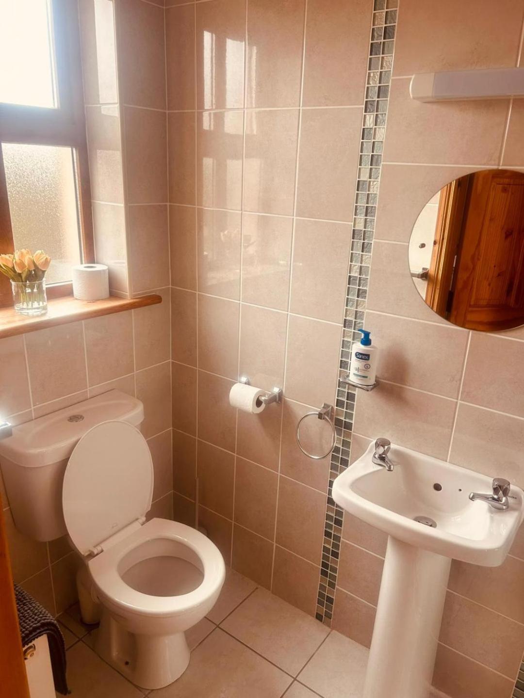 Ballytigue House Clarecastle Экстерьер фото