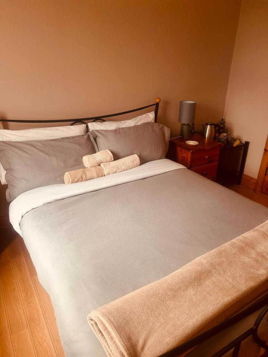 Ballytigue House Clarecastle Экстерьер фото