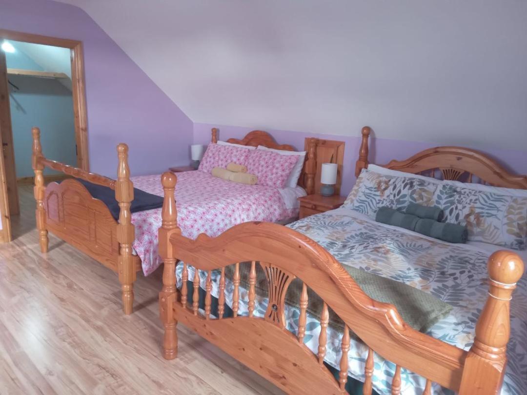 Ballytigue House Clarecastle Экстерьер фото
