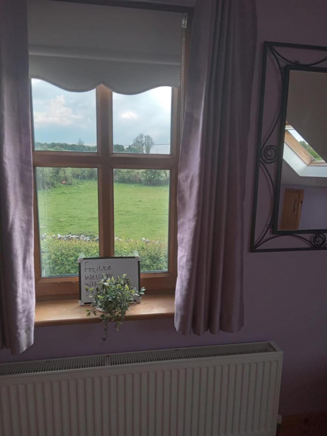 Ballytigue House Clarecastle Экстерьер фото